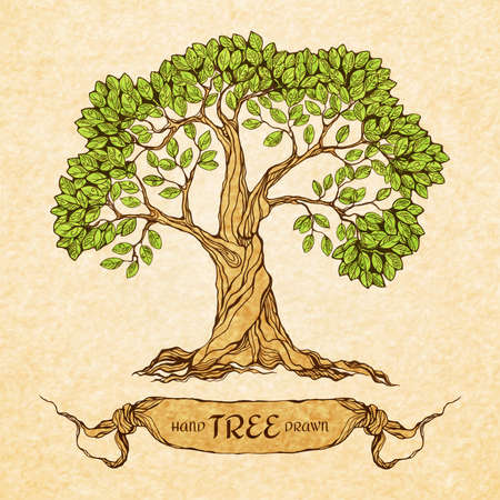 Green tree with place for text vector illustrationのイラスト素材