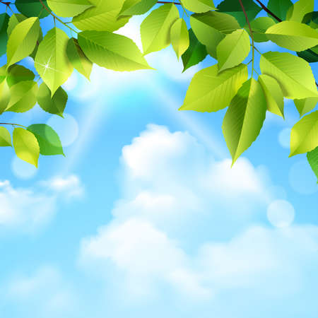 Green leaves tree foliage and blue sky clouds outdoor realistic background vector illustrationのイラスト素材