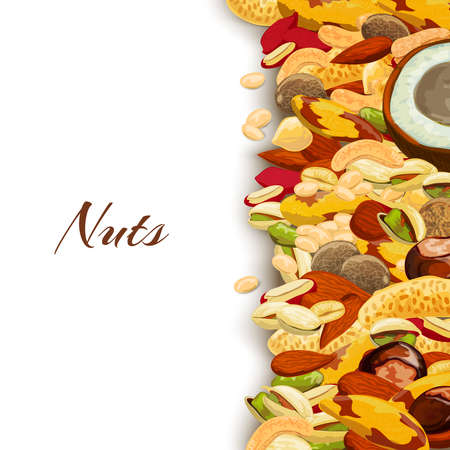 Nuts mix with peanut hazelnut pistachio coconut background vector illustrationのイラスト素材