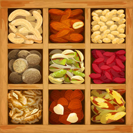 Nuts assorted collection of nutmeg walnut brazil almond in wood box vector illustrationのイラスト素材