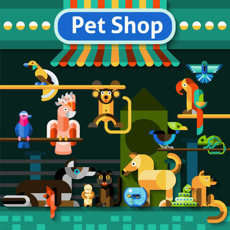 Pet shop background with pets domestic birds snake and iguana vector illustrationのイラスト素材