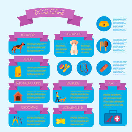 Dog care infographic banner with health care and behavior trainings information informative blocks layout abstract vector illustrationのイラスト素材