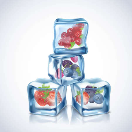 Realistic transparent blue ice cubes with berries inside vector illustrationのイラスト素材