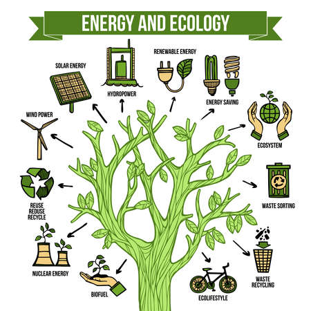 Eco natural green energy bio fuel production and recycle concept infographic tree layout chart...