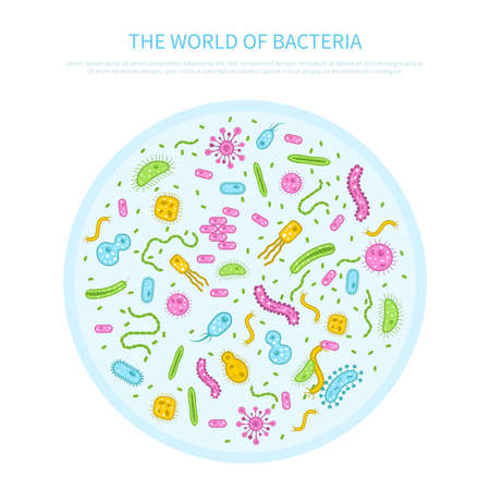 Different colored bacteria in petri glass flat microbiology concept vector illustrationのイラスト素材