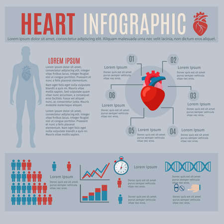 Human heart infographics with body silhouette and charts vector illustrationのイラスト素材