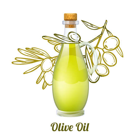 Olive oil concept with realistic glass bottle and sketch fruit branch on background vector illustrationのイラスト素材