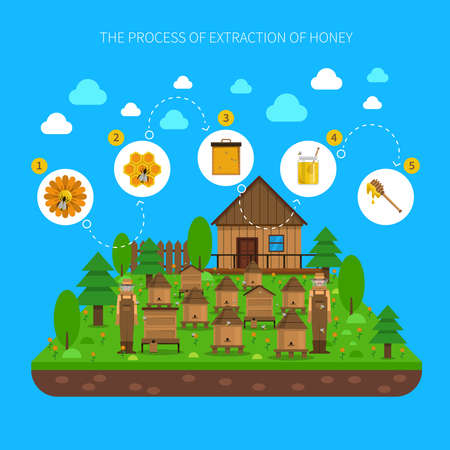 Process of honey extraction concept with several steps on blue background flat vector illustrationのイラスト素材