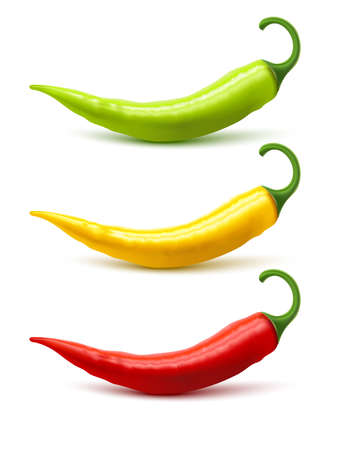 Hot chili peppers pods red yellow and green realistic image on white background with shadow isolated vector illustrationのイラスト素材