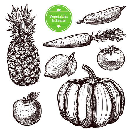 Vegetables and fruits set with pineapple pear tomato apple carrot cucumber and pumpkin isolated vector illustrationのイラスト素材