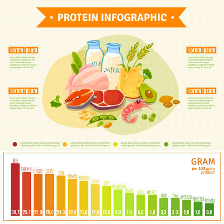 Informative poster on protein rich healthy nutrition with text diagram and infographic elements flat abstract vector illustrationのイラスト素材