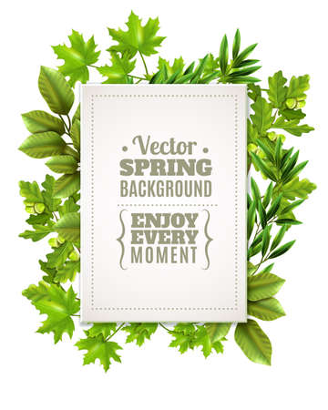 Decorative green frame with spring leaves and branches of deciduous trees and white rectangle with text in foreground vector illustrationのイラスト素材
