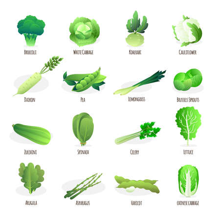 Green vegetables flat icons collection with broccoli spinach pea pod cabbage and celery abstract isolated vector illustrationのイラスト素材