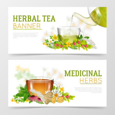 Two horizontal colorful banners of medicinal herbs and herbal tea in glass cups surrounded with herbs isolated vector illustrationのイラスト素材