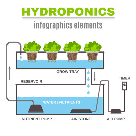 Color flat cncept depicting scheme and the principle of hydroponics vector illustrationのイラスト素材
