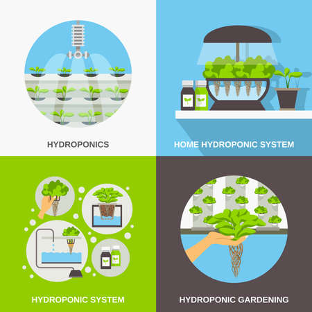 Color flat composition 2x2 depicting hydroponic system gardering vector illustrationのイラスト素材