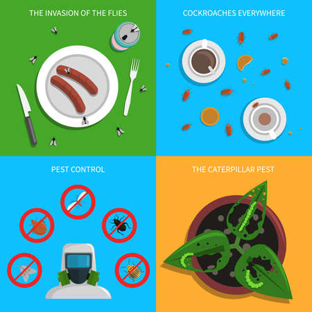 Pest design concept set with flies cockroaches and caterpillars control flat icons isolated vector illustrationのイラスト素材