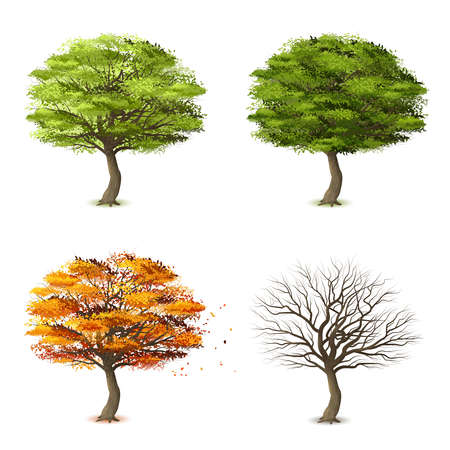 Trees in four seasons realistic decorative icons set isolated vector illustrationのイラスト素材