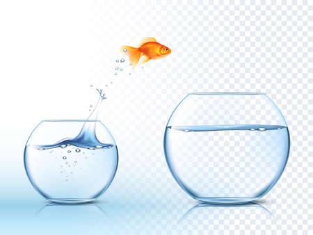 Goldfish jumping out one fishbowl to another aquarium with clear water against light checkered background poster vector illustrationの販売画像