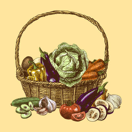 Vegetables in basket natural organic fresh food color sketch decorative set vector illustrationのイラスト素材