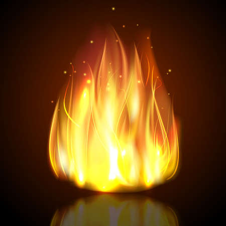 Fire burning campfire flame with sparks on dark background vector illustrationのイラスト素材