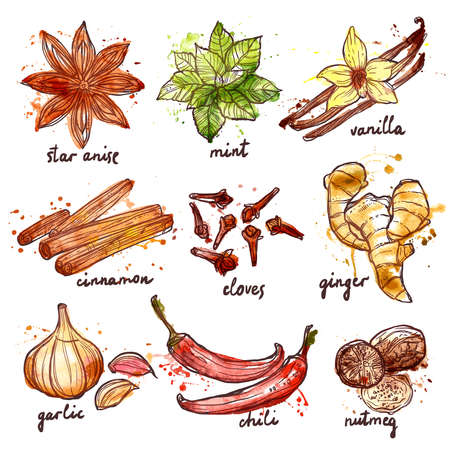 Herbs and spices decorative icons set with mint garlic cinnamon isolated vector illustrationのイラスト素材