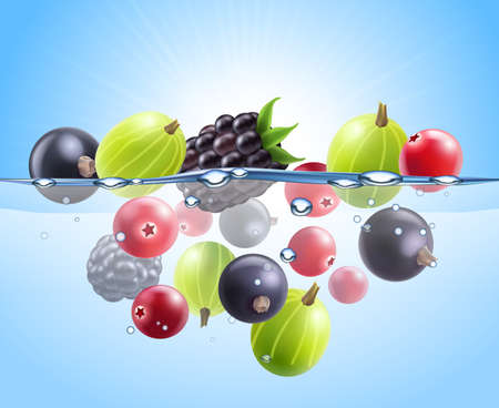 Realistic colorful berries background with black currant cranberry gooseberry blackberry dropped into water vector illustrationのイラスト素材