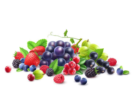 Ripe Berries Template with grape gooseberry strawberry blackberry cranberry bilberry black currant...