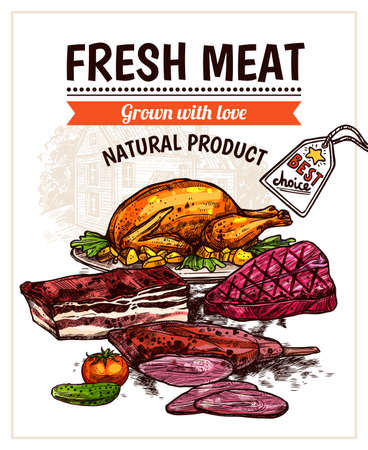 Hand drawn meet dishes poster with roasted chicken steak beef and vegetables vector illustrationのイラスト素材