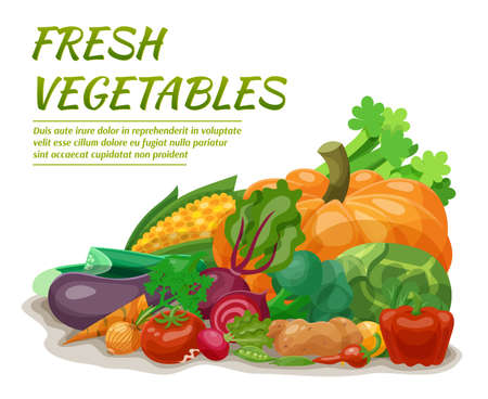 Fresh vegetables set with beet onion corn pepper vector illustrationのイラスト素材