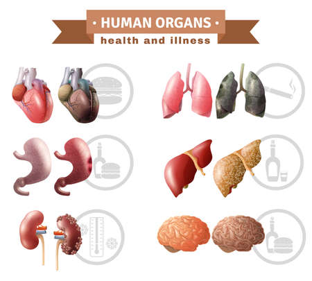 Human organs health risk factors icons composition medical poster with hart liver brain and lungs educative vector illustrationのイラスト素材