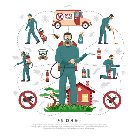 Professional pest control services experts handling all aspects of pest removal flat infographic advertisement poster vector illustrationのイラスト素材