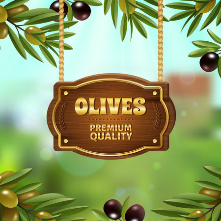 Premium quality olives background with natural product symbols cartoon vector illustrationのイラスト素材