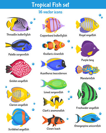 Exotic tropical fish icons set with fish species flat isolated vector illustrationのイラスト素材