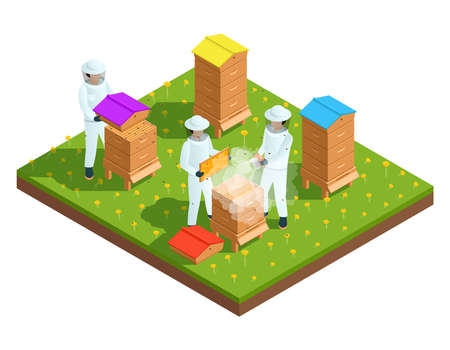 Beekeeping apiary isometric composition with farmers and bee hives vector illustrationのイラスト素材