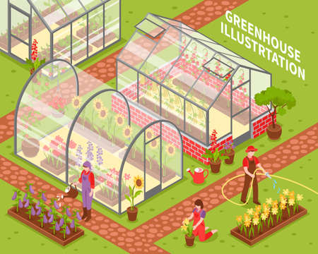Colored isometric greenhouse composition with growing flowers in hotbeds and flower care vector illustrationのイラスト素材