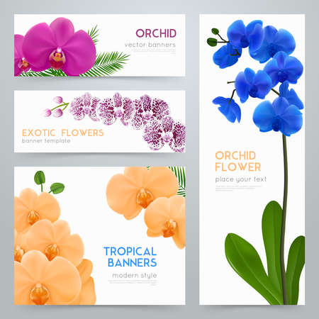 Blooming orchid plants 4 tropical botanic banners collection with exotic colorful flowers realistic isolated vector illustrationのイラスト素材
