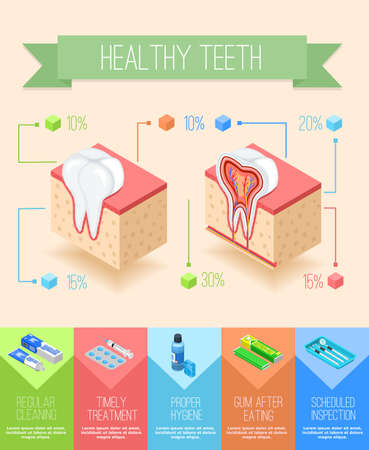 Dentist infographics with isometric sectional view of gums and teeth with images of dental care supplies vector illustrationのイラスト素材