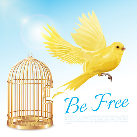 Poster with canary flying from open golden cage and getting freedom on blue white background vector illustrationのイラスト素材