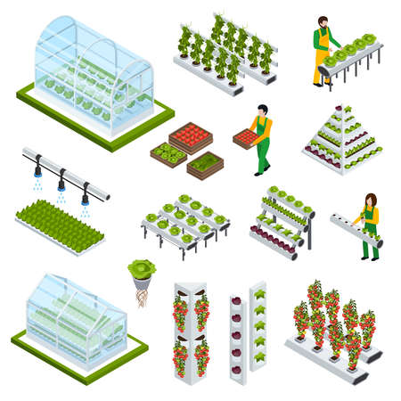 Hydroponics and aeroponics isometric icons set with greenhouse symbols isolated vector illustrationのイラスト素材