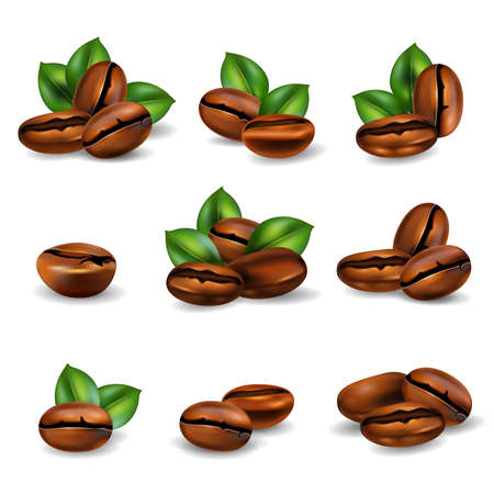 Roasted coffee beans with leaves realistic set isolated on white background vector illustrationのイラスト素材