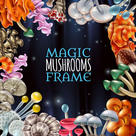 Decorative frame with bright magic mushrooms of various shape on shiny black background with sparks vector illustrationのイラスト素材