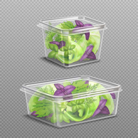 Fresh green and purple salad leaves in 2 plastic food storage containers on transparent background realistic vector illustrationのイラスト素材