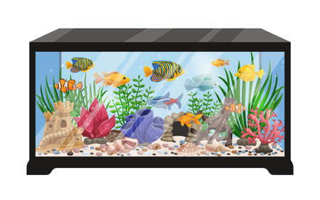 Aquarium tank cartoon vector illustration with swimming exotic freshwater fishes seashells seaweeds  equipment and accessoriesのイラスト素材