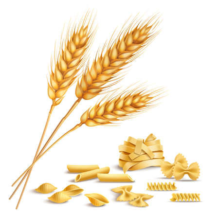 Realistic ripe wheat spikelets and pasta including fusilli, farfalle, penne composition on white background vector illustrationのイラスト素材