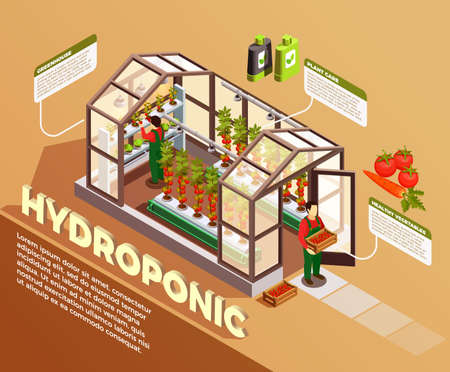Hydroponic isometric composition with greenhouse image and description of construction elements and plant care methods vector illustrationのイラスト素材