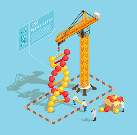 GMO bio engineering isometric composition on blue background with scientists during building of dna structure vector illustrationのイラスト素材
