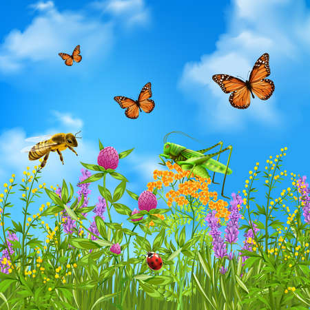 Insects in summer grass field realistic colorful composition with butterflies bumblebee grasshopper and ladybird vector illustrationのイラスト素材