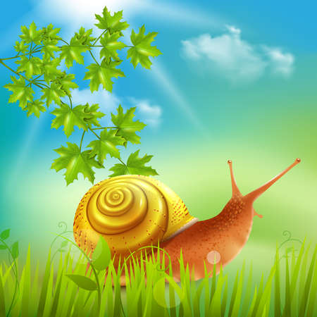 Snail in grass field sun bathing realistic composition with maple branch outdoor nature summer vector illustrationのイラスト素材