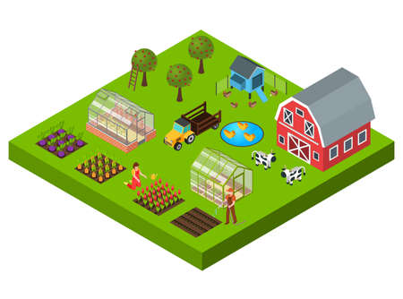 Isometric concept with big farm yard vegetable and flower beds cattle greenhouse barn 3d vector illustrationのイラスト素材